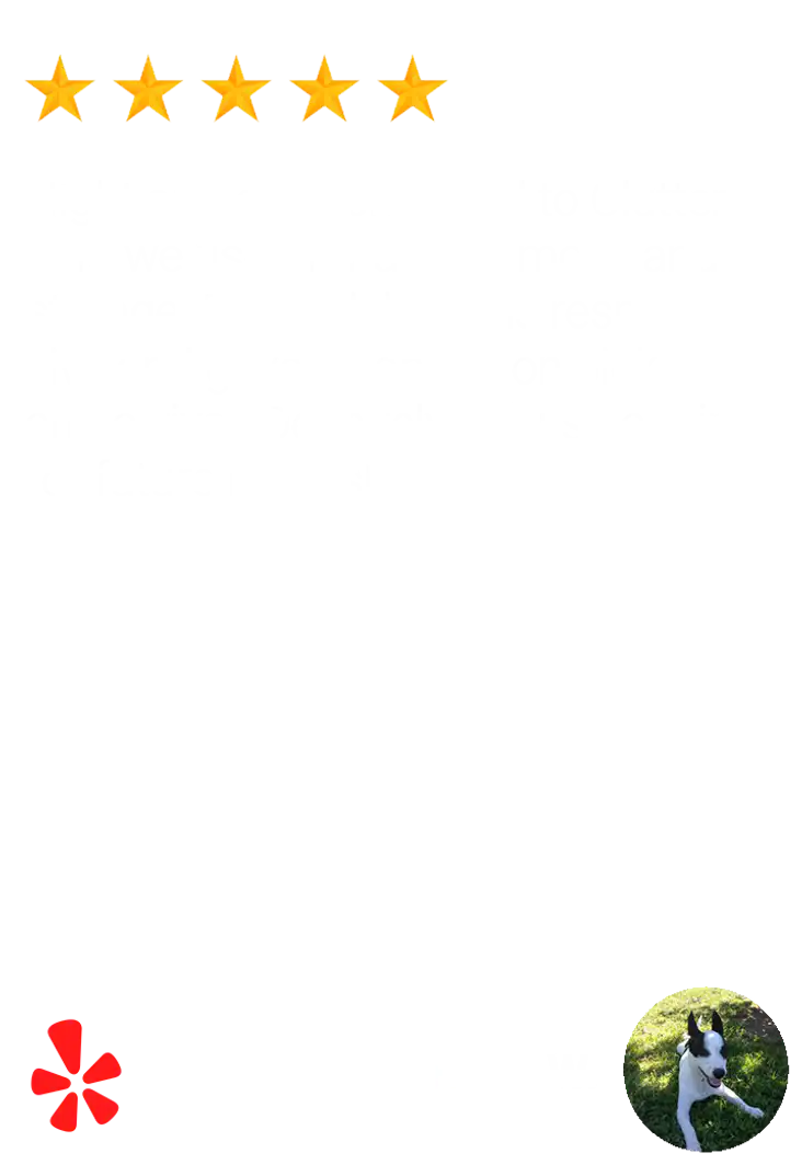 1a6a1c_f63a07d5412a4b93bebc15f67